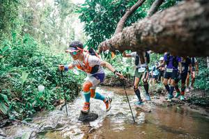 BIB: 
                            <button type="button" onclick="openModal(25372222)" class="btn btn-primary btn-sm float-right btn-popup" data-toggle="modal" data-target=".modal-high-quality">
                        <i class="fas fa-shopping-cart"></i> Add to Cart
                    </button>
                                            <button type="button" onclick="isThisMe(25372222, true)" class="btn btn-success btn-sm float-right btn-popup btn-isme hidden" data-toggle="tooltip" data-placement="bottom" title="นี่คือรูปของคุณใช่ไหม คลิกที่นี่เพื่อเอาเข้าอัลบั้ม">
                        <i class="fas fa-plus"></i> Add to album
                    </button>
                    <button type="button" onclick="isThisMe(25372222, false)" class="btn btn-warning btn-sm float-right btn-popup btn-isnotme hidden">
                        <i class="fas fa-ban"></i> Remove from album
                    </button>